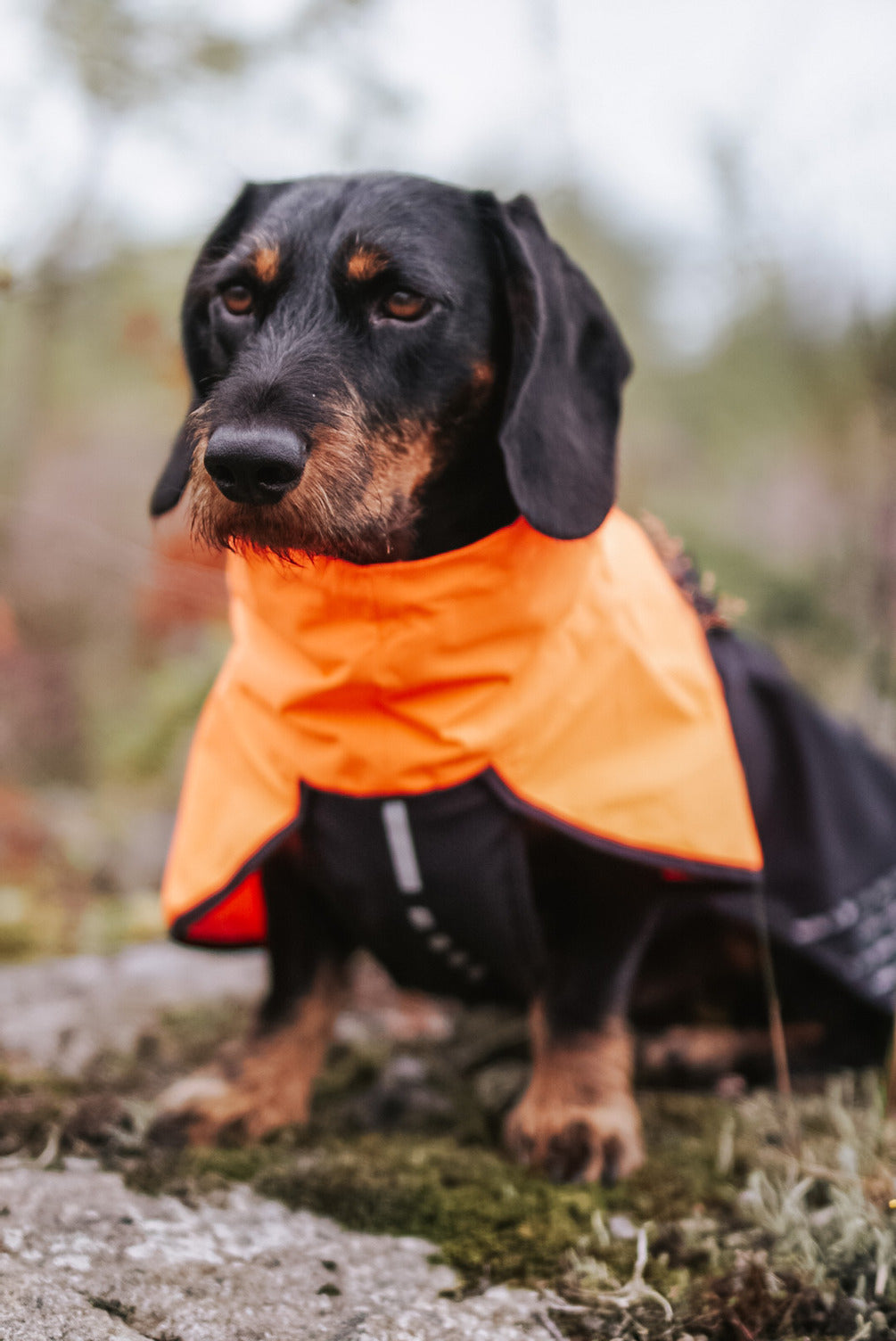 Fjord raincoat (19)
