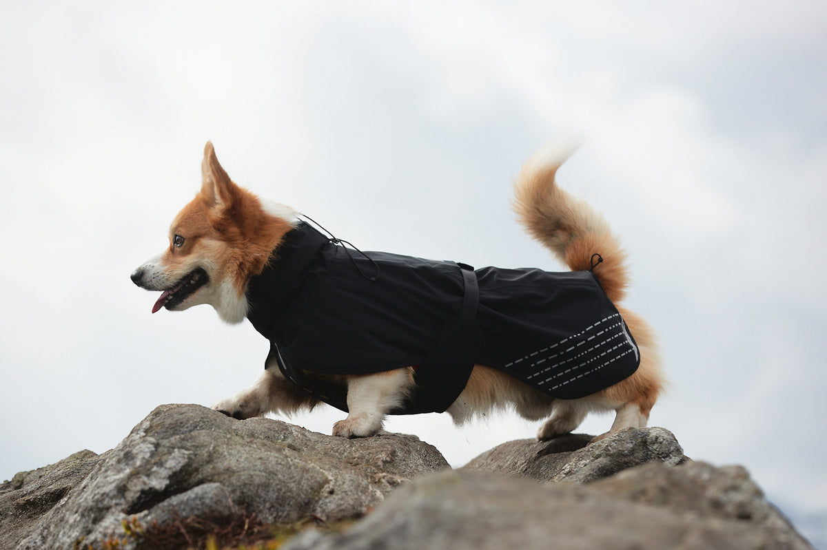 Fjord raincoat (6)