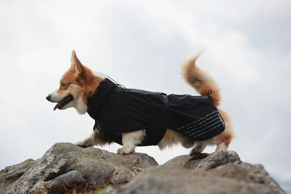 Fjord raincoat (6)