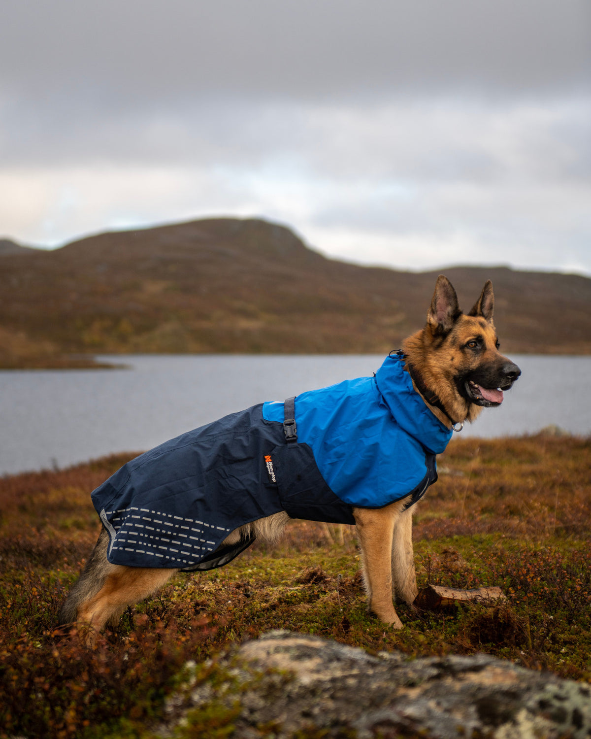 Fjord raincoat (9)