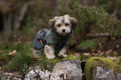 Fjord raincoat (10)
