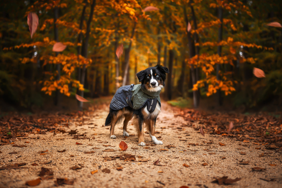 Fjord raincoat (12)