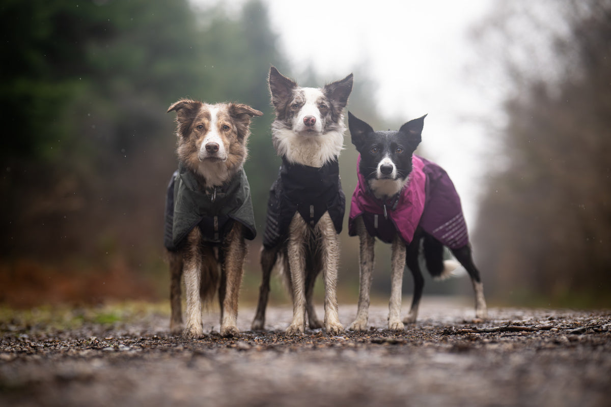Fjord raincoat (1)