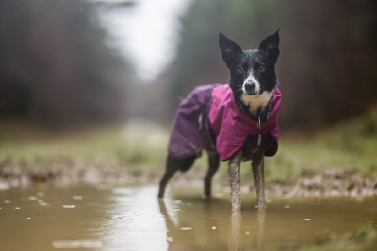 Fjord raincoat (20)