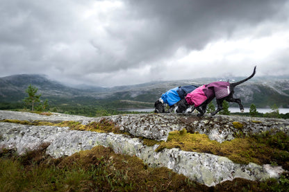 Fjord raincoat (22)