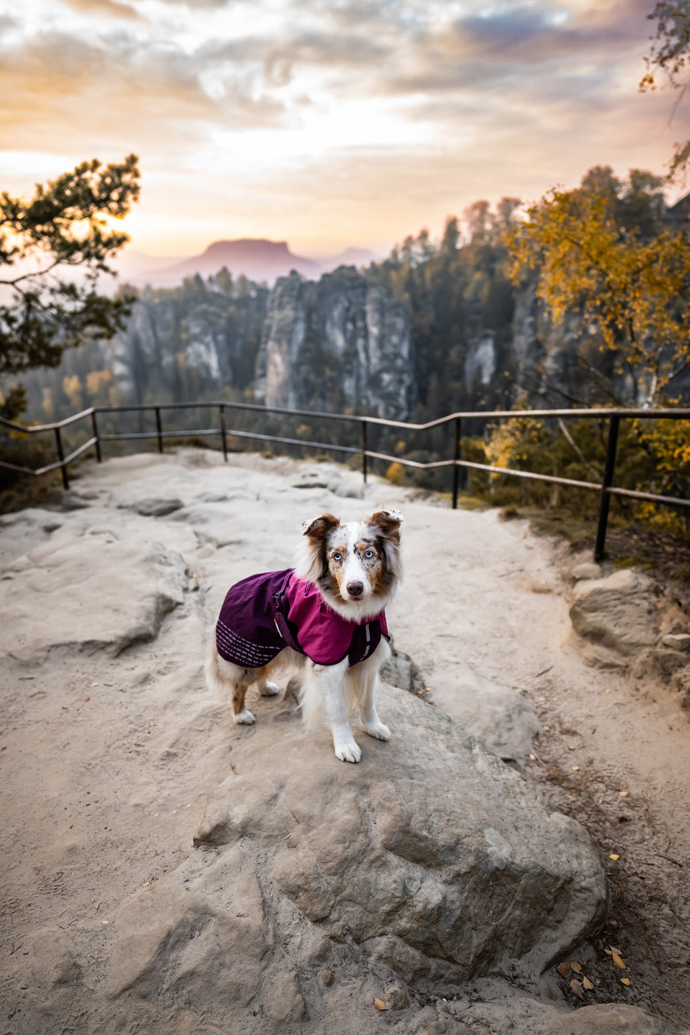 Fjord raincoat (23)
