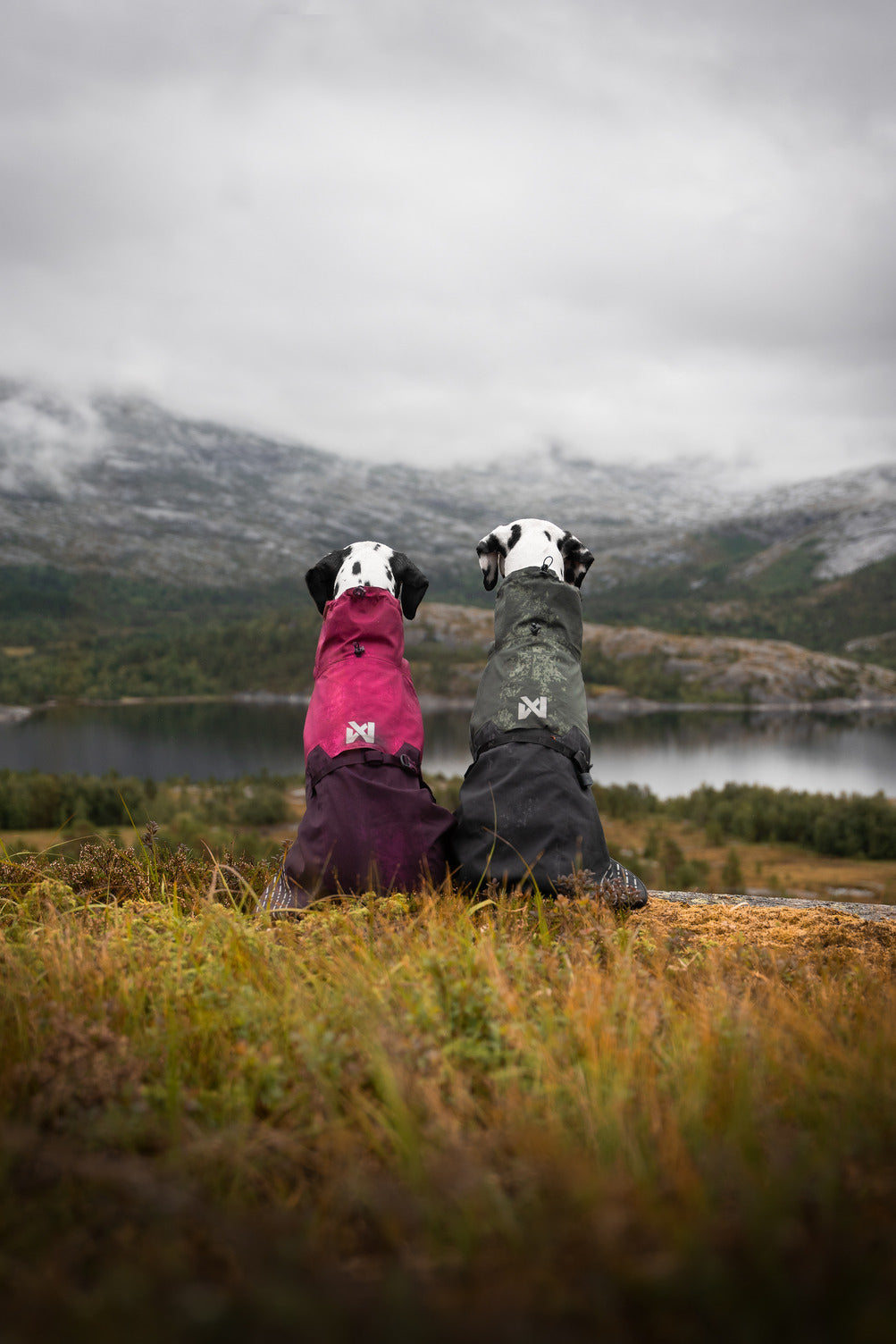 Fjord raincoat (25)