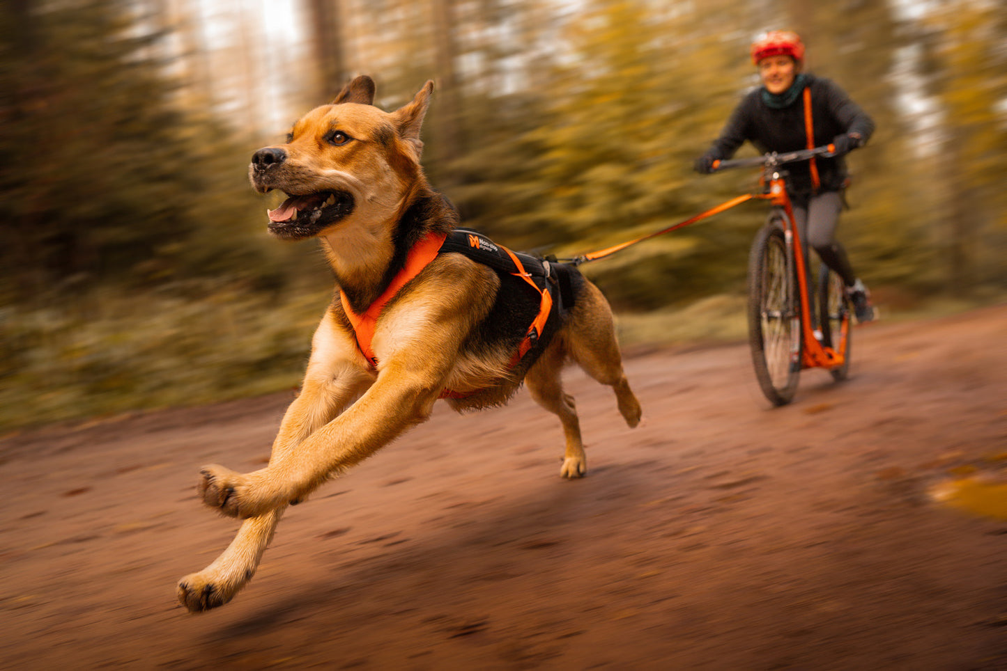 Freemotion harness 5.0 (6)