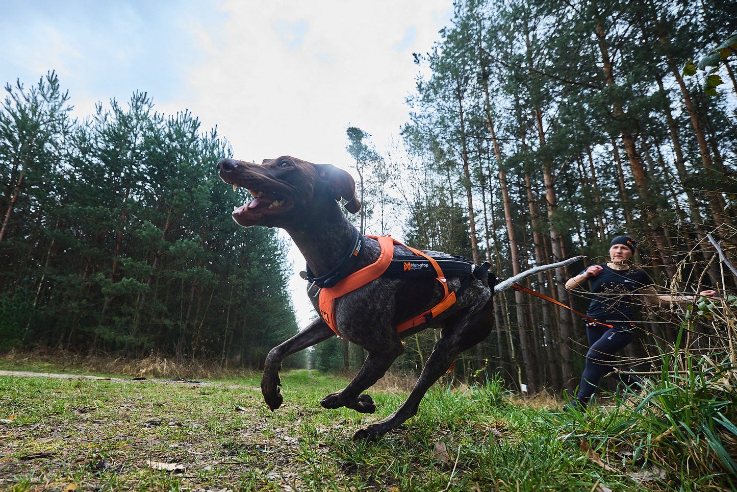 Freemotion harness 5.0 (7)