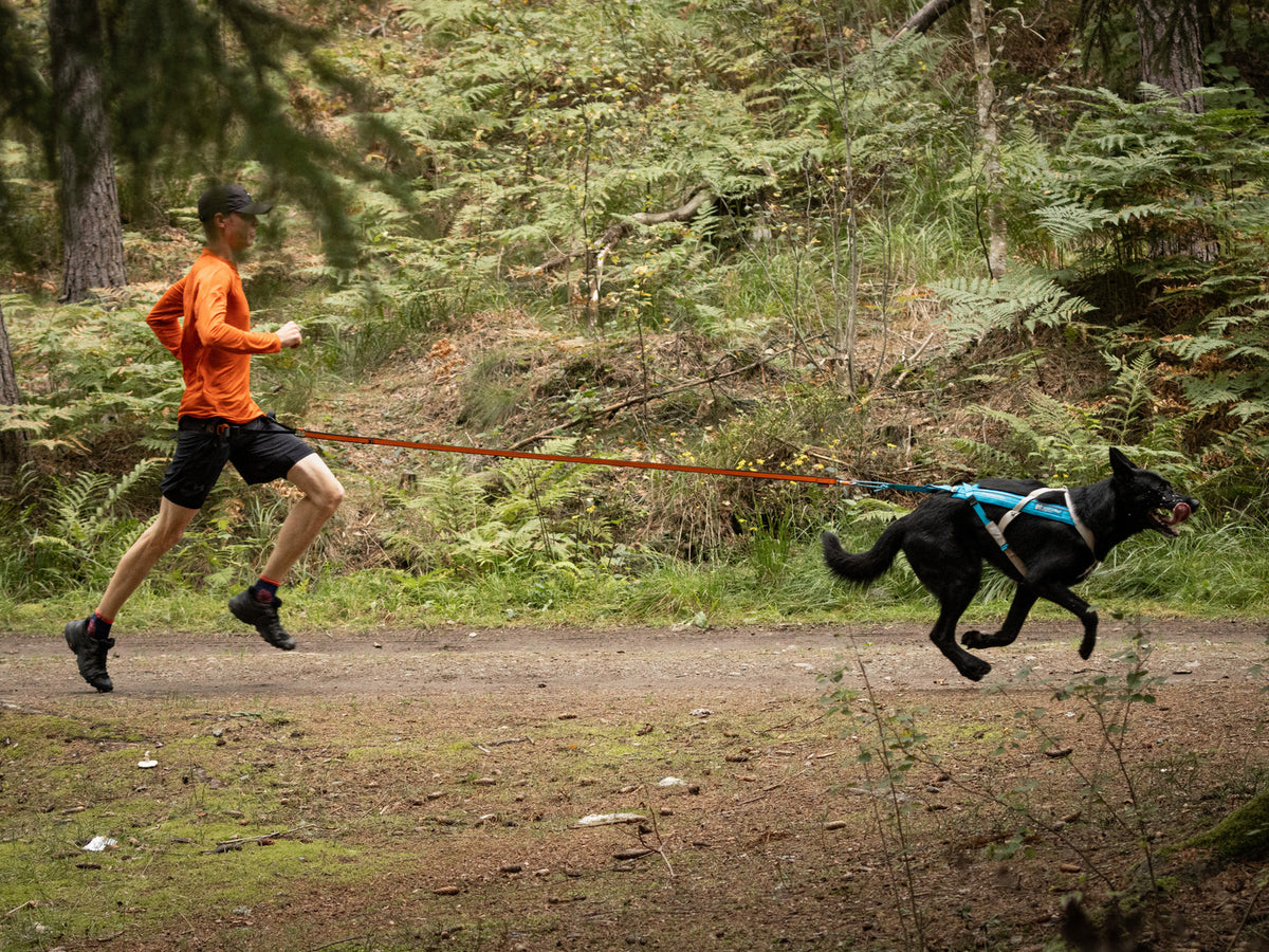 Freemotion harness 5.0 (13)