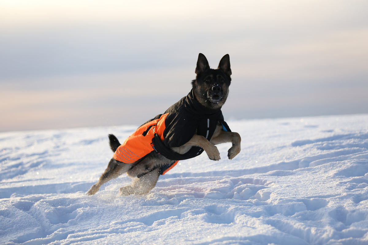 Glacier jacket 2.0 (6)