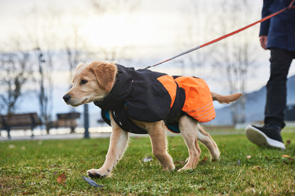 Glacier jacket 2.0 (7)