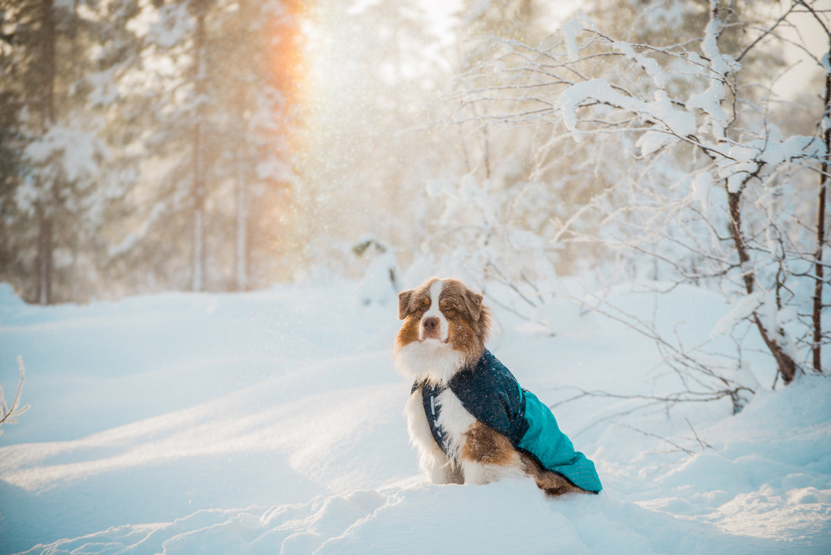 Glacier jacket 2.0 (9)