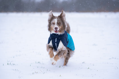 Glacier jacket 2.0 (10)