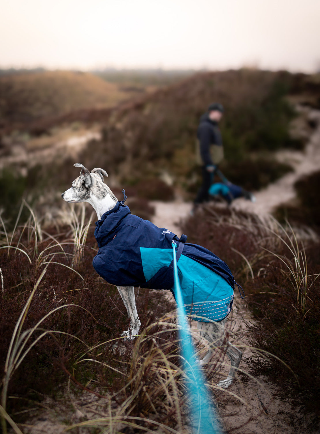 Glacier jacket 2.0 (11)