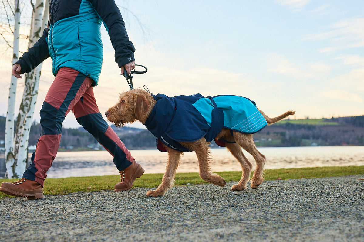 Glacier jacket 2.0 (12)