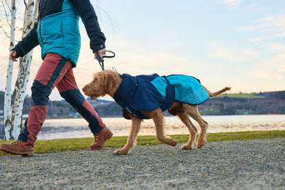 Glacier jacket 2.0 (12)