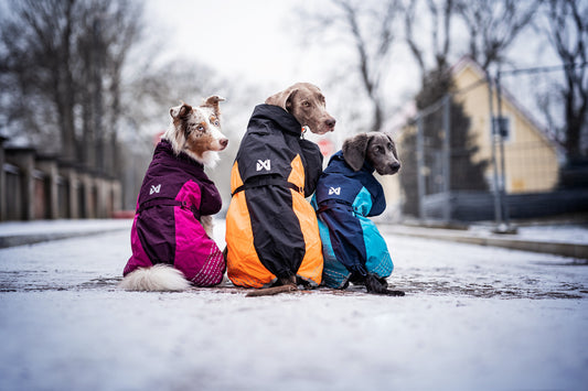 Glacier jacket 2.0 (1)