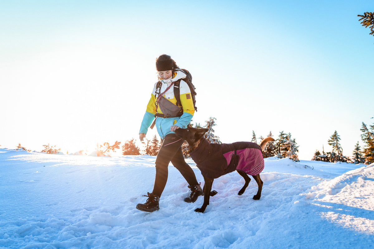 Glacier jacket 2.0 (13)