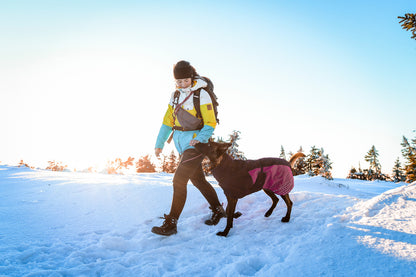 Glacier jacket 2.0 (13)