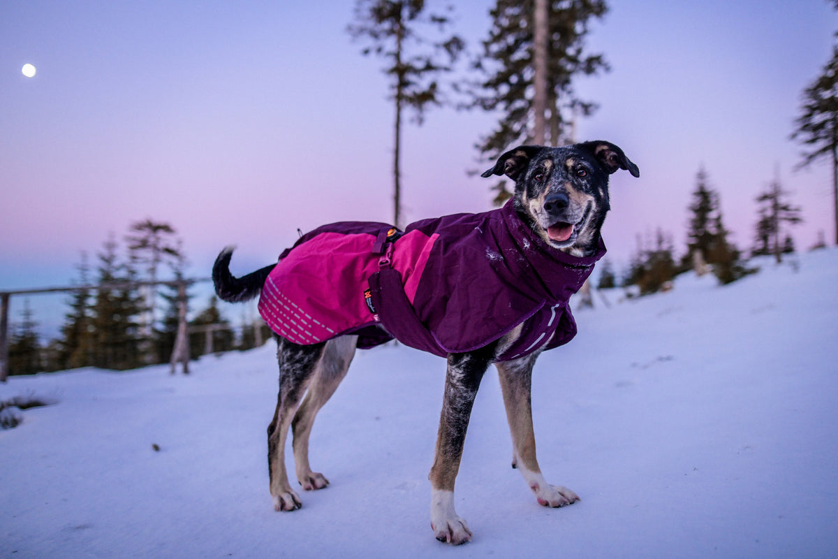 Glacier jacket 2.0 (14)
