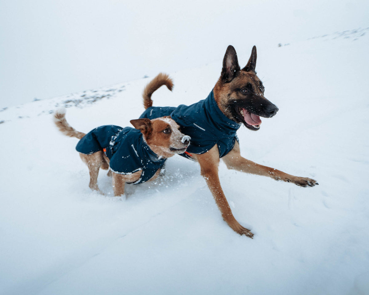 Glacier wool jacket 2.0 (10)