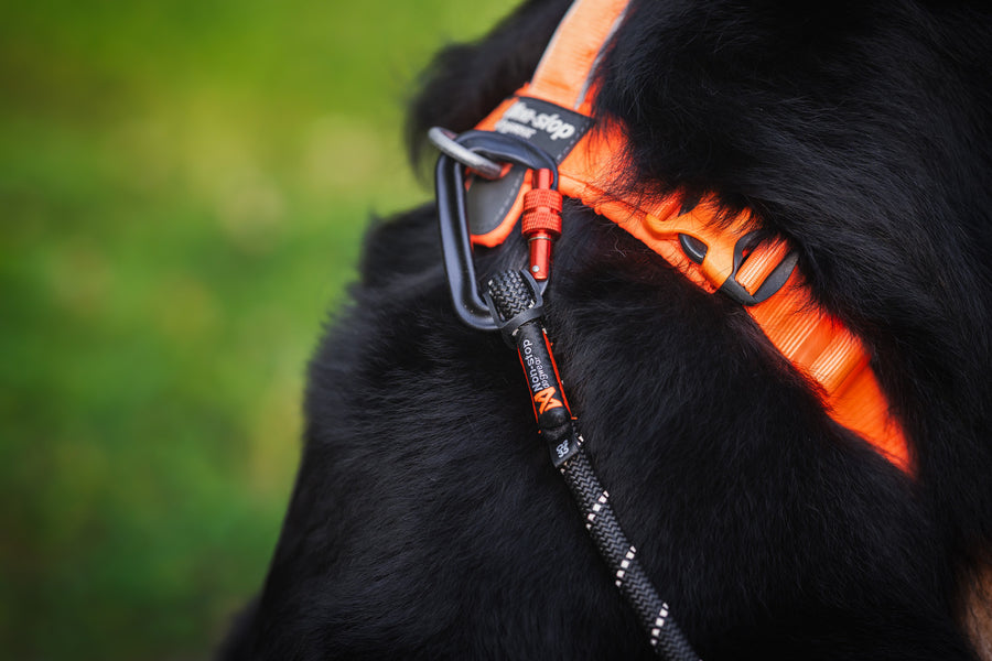 Line harness 5.0 (10)