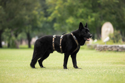 Line harness long WD (4)