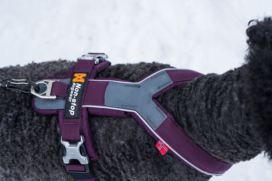 Line harness (13)