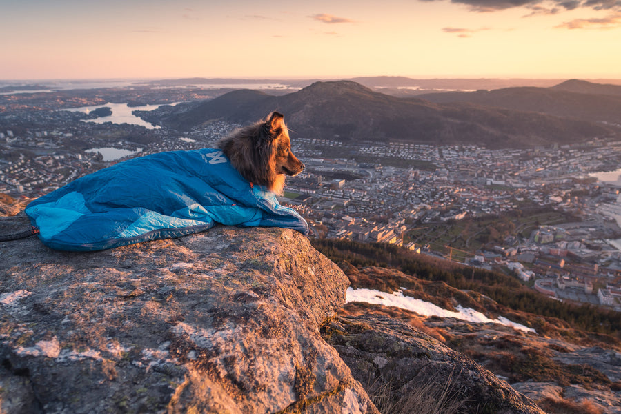 Ly sleeping bag (7)