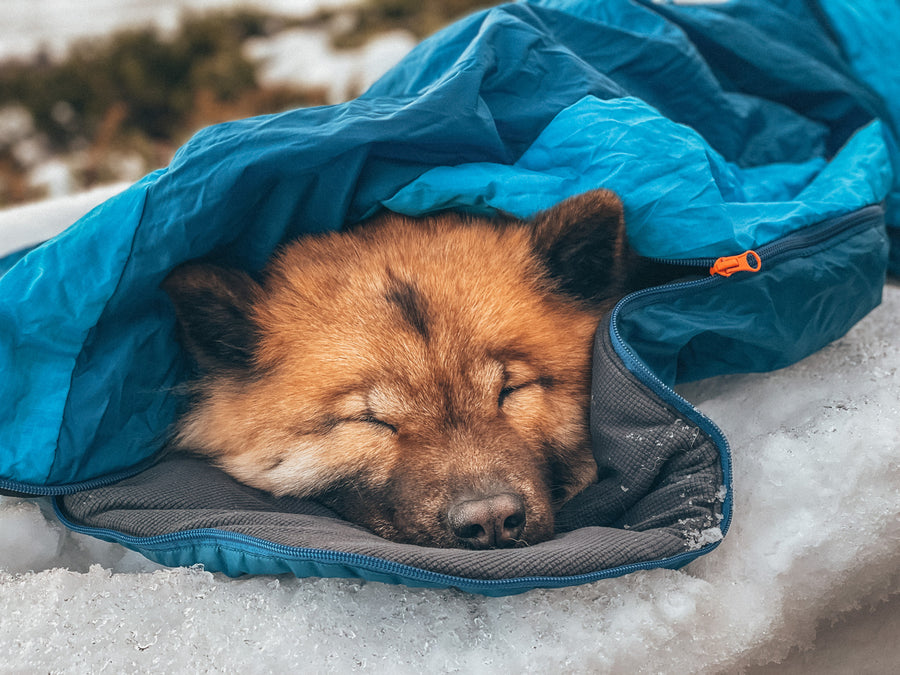 Ly sleeping bag (6)