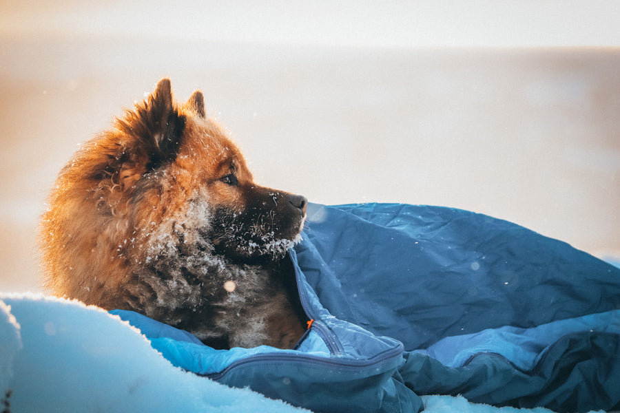 Ly sleeping bag (5)