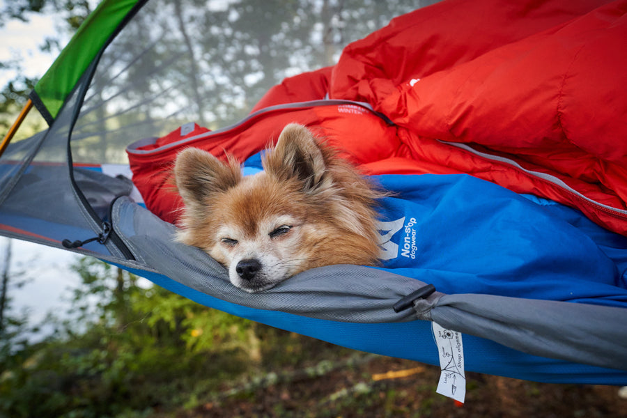 Ly sleeping bag (4)