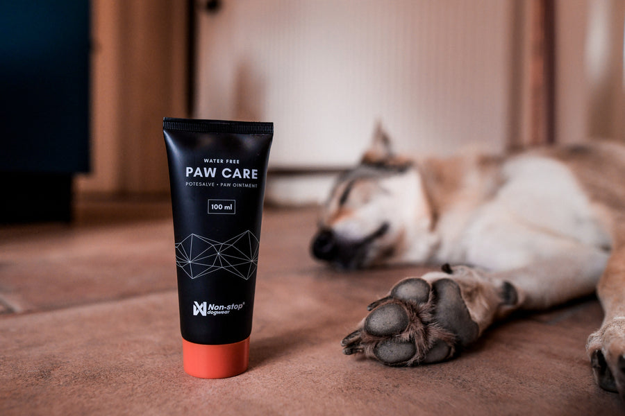 Paw care (1)