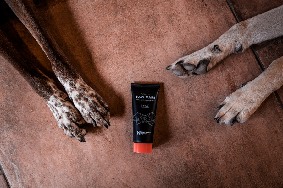 Paw care (6)