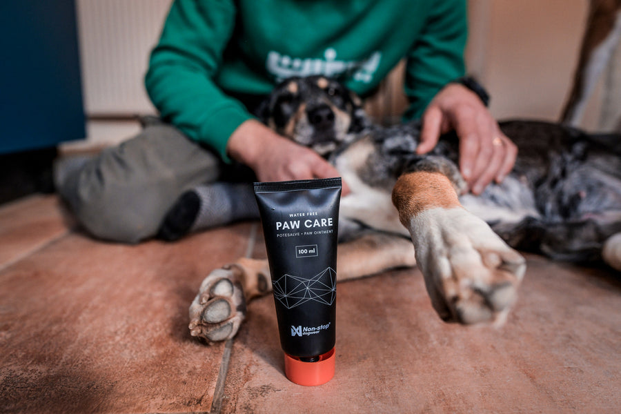 Paw care (7)
