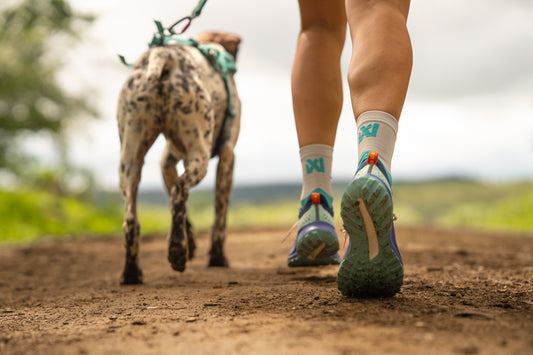 CaniX socks (1)