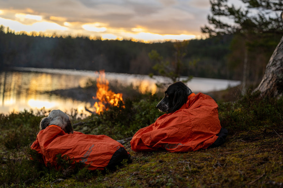 Protector bivvy bag (8)