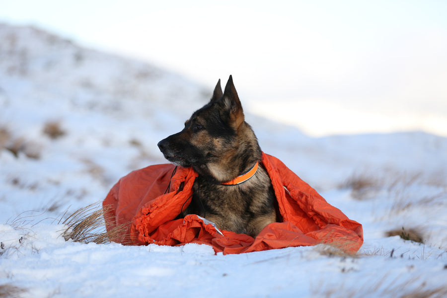 Protector bivvy bag (9)