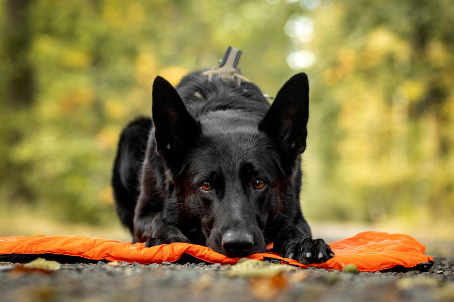 Protector bivvy bed (3)