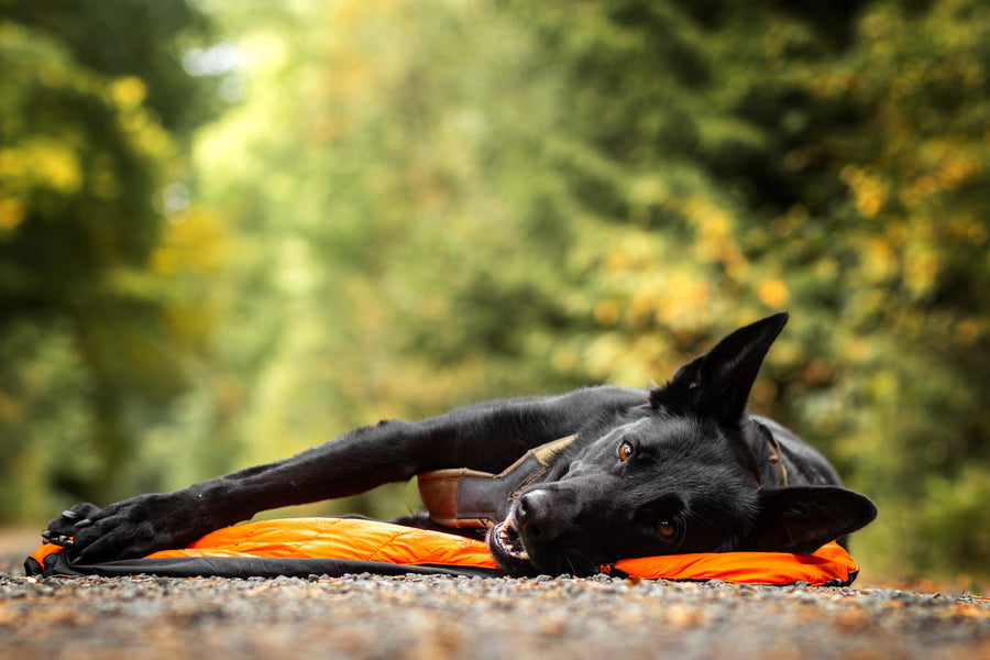 Protector bivvy bed (4)