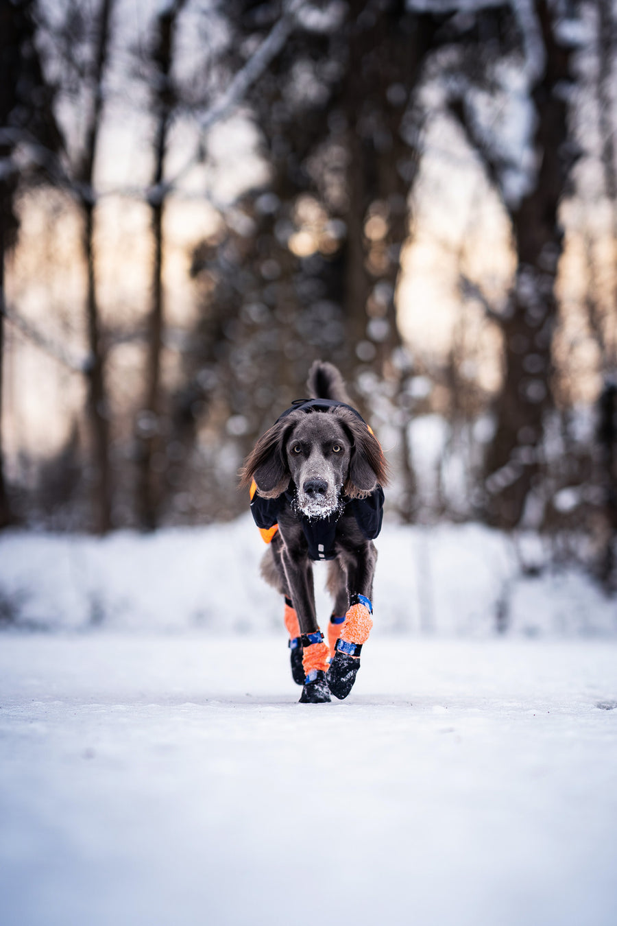 Protector bootie high (5)