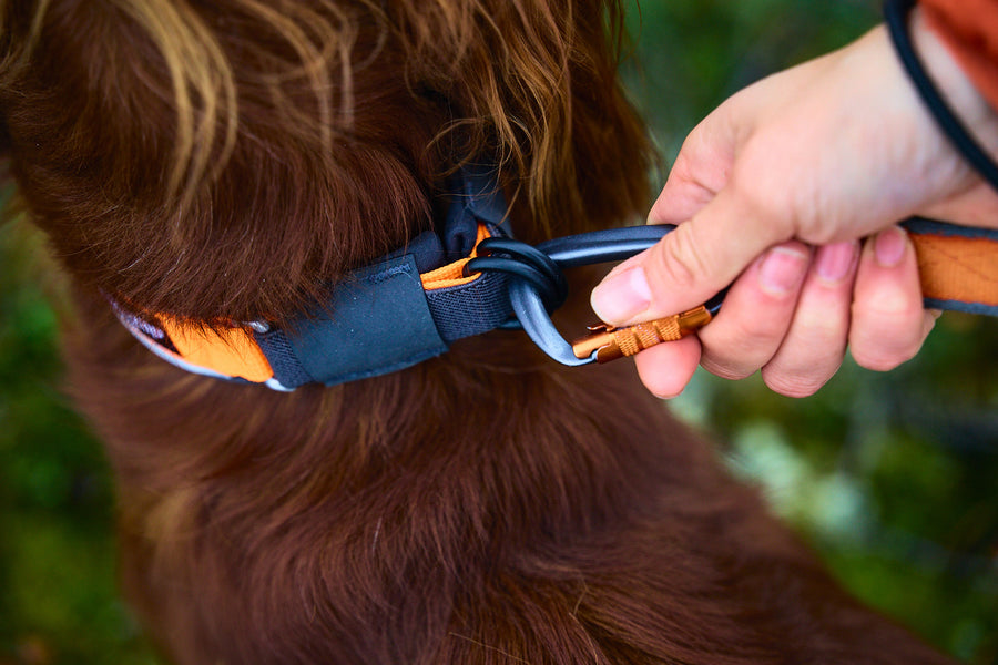 Protector collar (5)