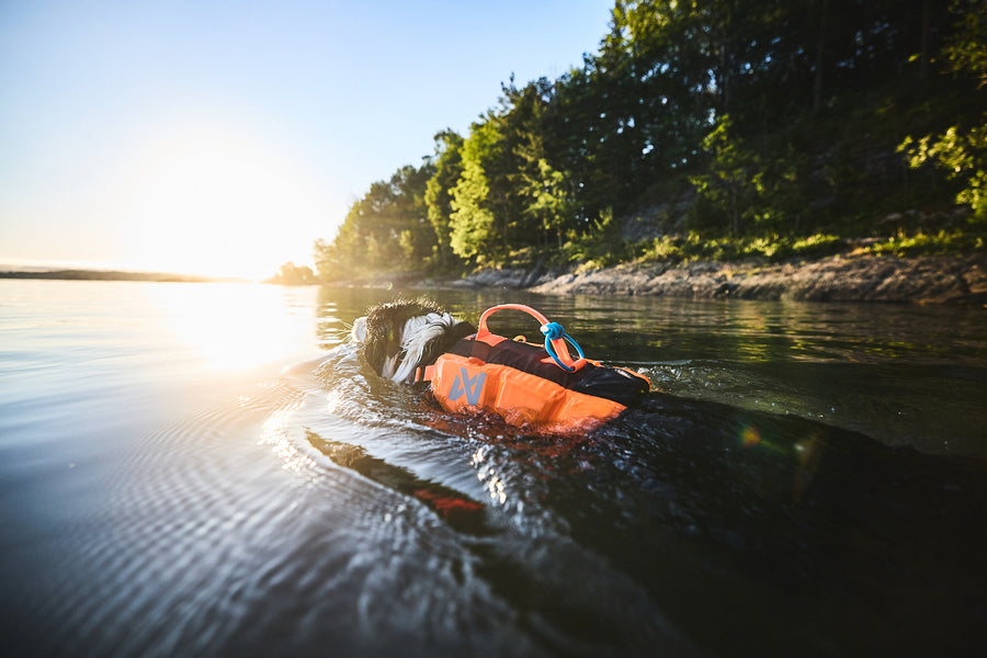 Protector life jacket (4)