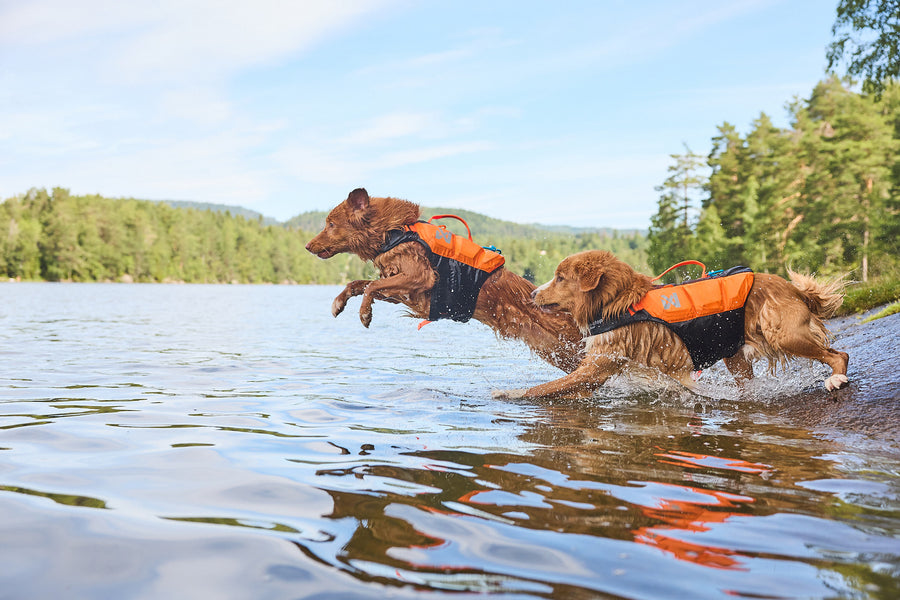 Protector life jacket (8)