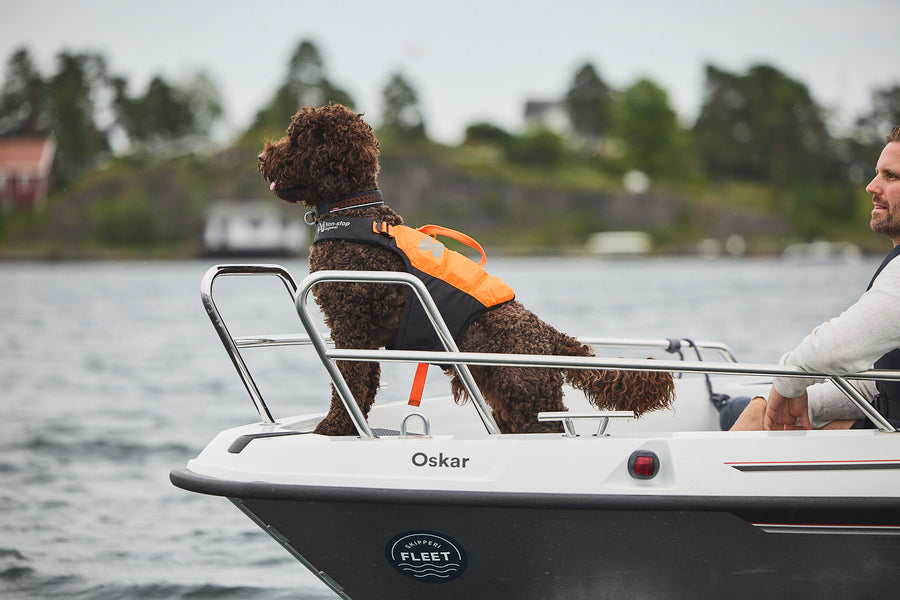 Protector life jacket (9)
