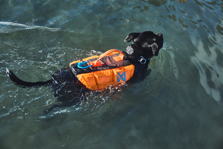 Protector life jacket (10)