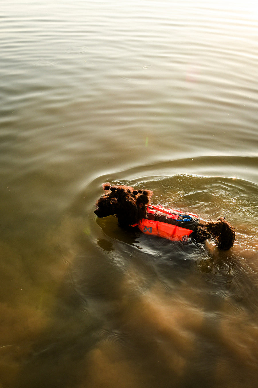 Protector life jacket (11)