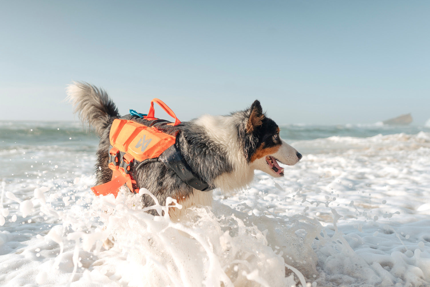 Dog life jacket | Protector life jacket – Non-stop dogwear