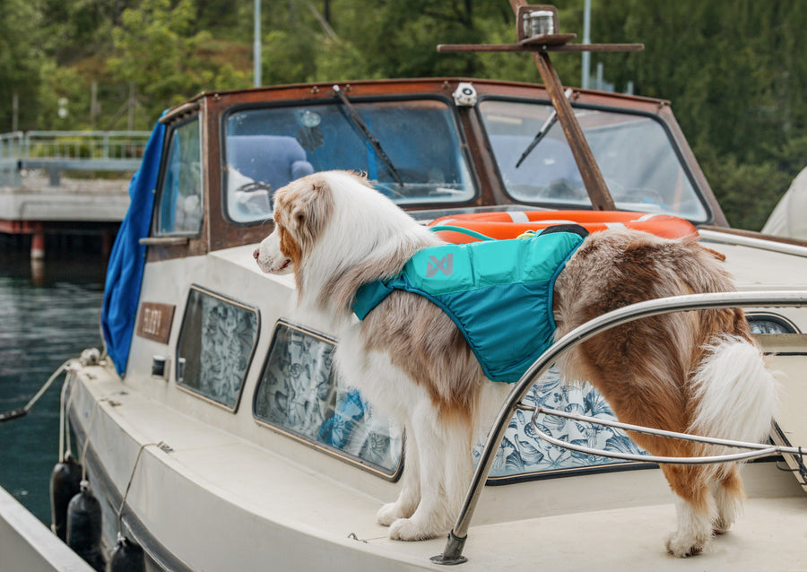 Protector life jacket (17)